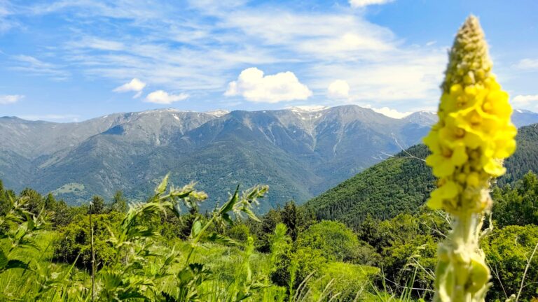 Върховете Факиро и Килеро в Рила