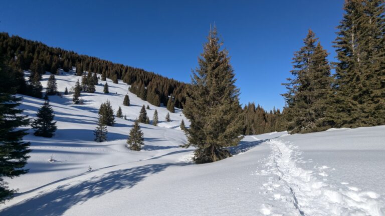 Връх Преспа и хижа Хайдушки поляни